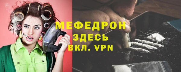 индика Абаза