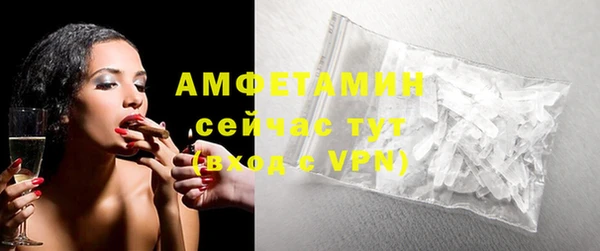 индика Абаза