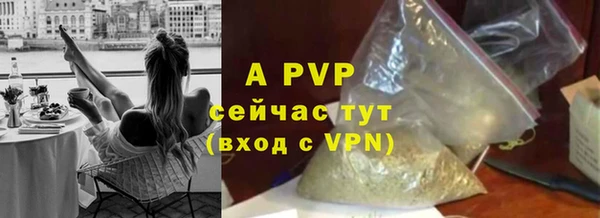 индика Абаза