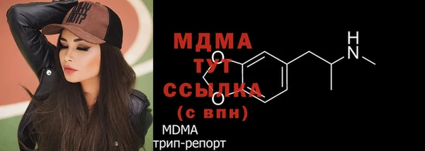 индика Абаза