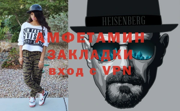 индика Абаза