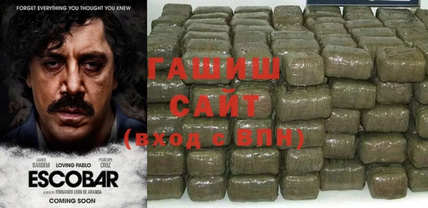 индика Абаза