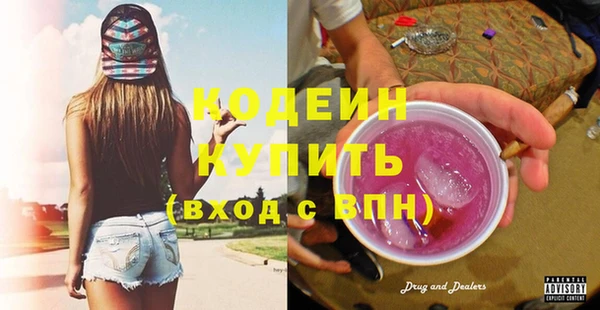 индика Абаза