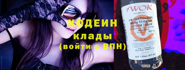 индика Абаза