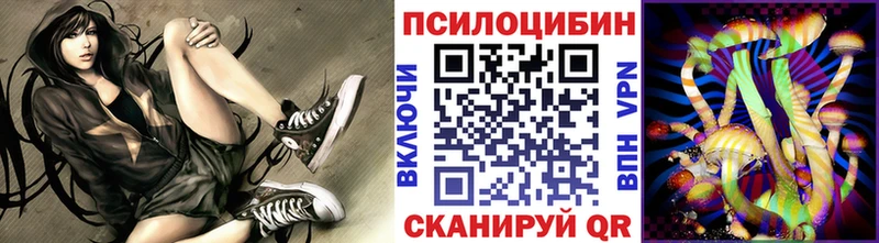 Псилоцибиновые грибы мицелий  кракен зеркало  Адыгейск 